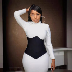 Color Block Crew Neck Splice Elegant Dress